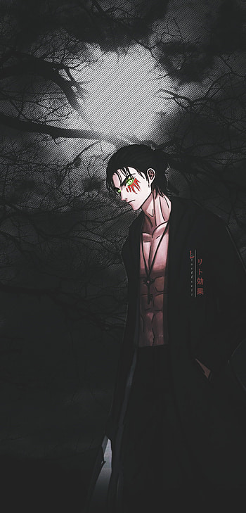 Eren Yeager, attack on titan, Levi, mikasa HD phone wallpaper