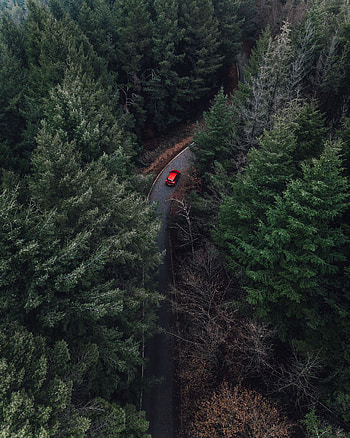 Nature, Trees, View From Above, Forest, Fog, Car HD phone wallpaper