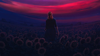 Dreamwalking Amidst Sunflowers, artist, artwork, digital-art HD wallpaper