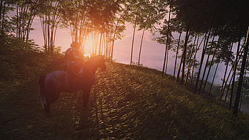 Ghost of Tsushima, Ghost of Tsushima HD wallpaper