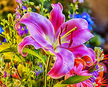 LILY, PETALS, LEAVES, FLOWERS, STEM HD wallpaper