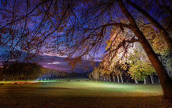 Across the Estate, night, estate, lights, field HD wallpaper