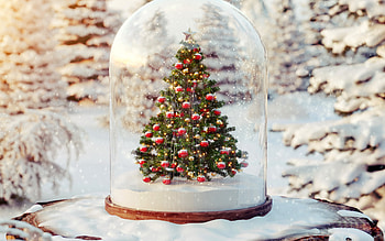 Christmas tree in a glass flask, Christmas decoration, Happy New Year, Merry Christmas, winter, snow HD wallpaper