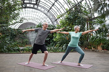 Elderly couple enjoying yoga exercises together in a lush greenhouse setting. HD wallpaper