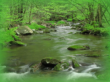Glowing River, trees, river, water, rocks HD wallpaper