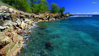 ~Mahaulepu Beach~, shore, mahaulepu beach, landscape, trees, paradise, water, rocks, ocean HD wallpaper