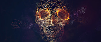 Preview skull, lines, roses, geometry HD wallpaper