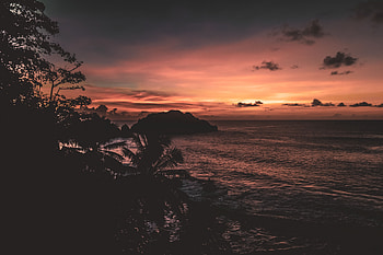 Sea, Twilight, Palms, Rock, Dark, Dusk, Outlines HD wallpaper