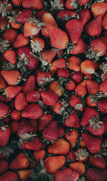 Food, Strawberry, Berries, Ripe, Fresh HD phone wallpaper