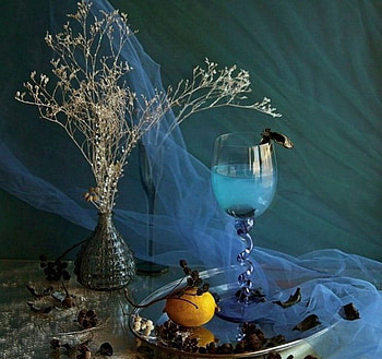 blue moments, blue, still life, flowers, beauty HD wallpaper