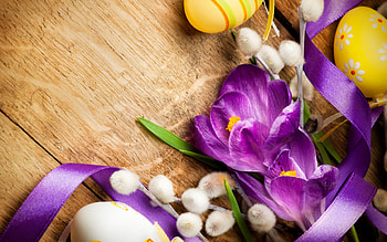 *** Easter ***, colorful, easter, tulips, eggs HD wallpaper