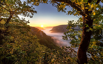 Misty Valley at Sunrise, mist, valley, trees, mountains, sunrise HD wallpaper