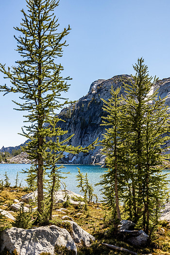 Nature, Trees, Pine, Mountain, Lake HD phone wallpaper
