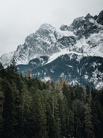 Nature, Trees, Mountains, Vertex, Tops, Snow Covered, Snowbound, Germany HD phone wallpaper