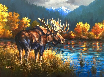 Bull Moose in Fall, sunlight, attractions in dreams, colors, paintings, love four seasons, lakes, bull moose, deer, autumn, nature, mountains, fall season HD wallpaper