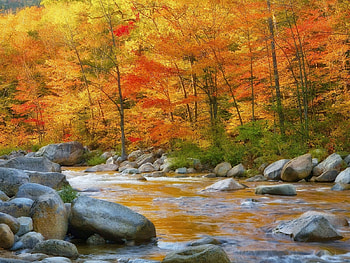 Landscape, Water, Rivers, Trees, Stones, Autumn HD wallpaper