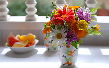 Plants, Flowers, Bouquets HD wallpaper