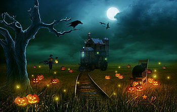pumpkin field, holiday, halloween HD wallpaper
