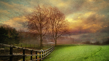 textured of grazing meadow, fence, trees, texture, meadow, grass HD wallpaper