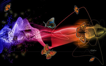 BUTTERFLIES AT HIGH SUMMER, butterflies, summer, colorful, high HD wallpaper