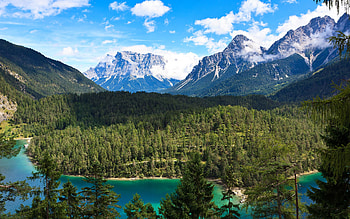Amazing View, nature, forest, lake, mountain HD wallpaper