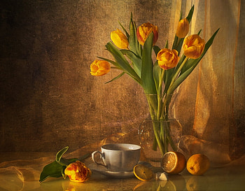 Sunny Tulips, sunny, lemon, yellow, vase, tulips, cup, fresh HD wallpaper