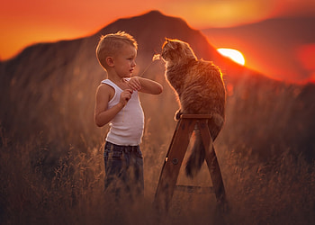 ღ❤ღ, animal, kitten, boy, cute, cat, child HD wallpaper