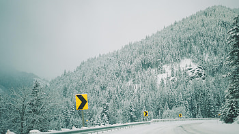 Winter, Nature, Trees, Mountains, Turn, Forest, Pointers HD wallpaper