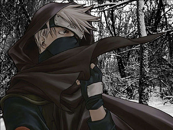 Kakashi, sasuke, awesome, l33t, uber, sakura, naruto, noob, team 7, shippuden HD wallpaper