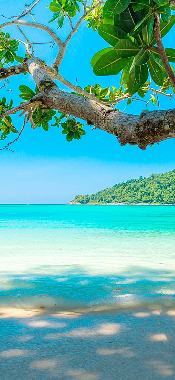 Trinidad and Tobago, Caribbean wonders, Island serenity, Natural beauty HD phone wallpaper