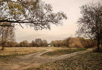 Landscape, Nature, Roads, Autumn, Country, Countryside HD wallpaper