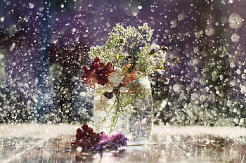 Still Life, soft, vase, flowers, abstract HD wallpaper