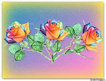 RAINBOW ROSES, PRETTY, ROSES, , RAINBOW HD wallpaper