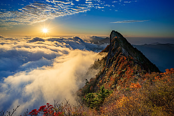 Majestic Peak Above the Sea of Clouds – Nature Horizon, horizon, sea of clouds, peak, nature, landscape HD wallpaper