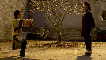 Crouching Tiger Hidden Dragon, Sword of Destiny, Best movies, 2016 movies HD wallpaper