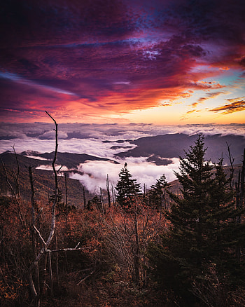 Landscape, Nature, Mountains, Clouds, Forest, Fog HD phone wallpaper