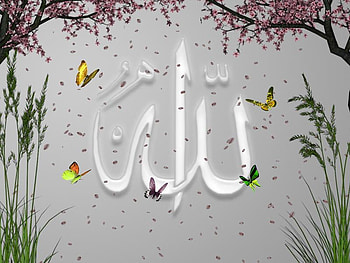 ALLAH, islam, muslim, beauty HD wallpaper