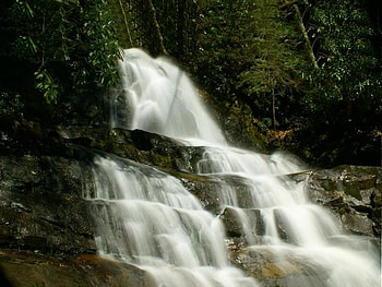 Laurel Falls, falls, trees, water, rocks HD wallpaper