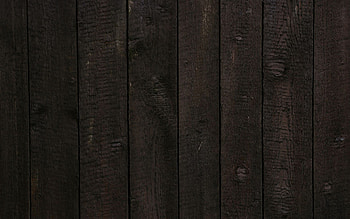 Dark Wood Cave Page Vertical Astek Wallcovering Woods. room designing. designing a ... HD wallpaper