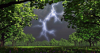 Lighting, other, nature, forest HD wallpaper