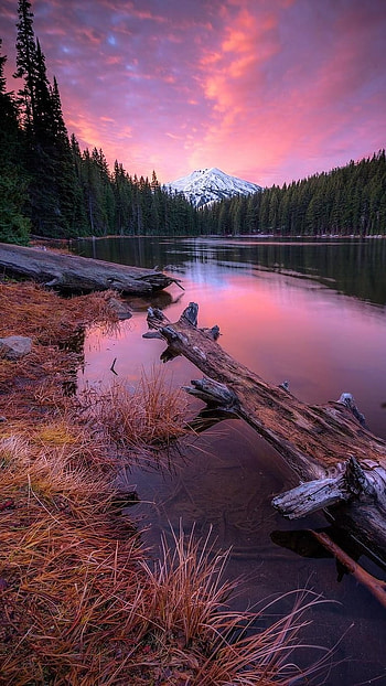 Beautiful Nature, Wonderful HD phone wallpaper