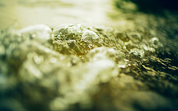 Water, Drops, Macro, Liquid, Surface HD wallpaper