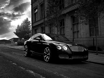 collection, bentley, cars HD wallpaper