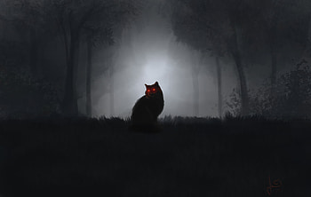 The Hell Cat, cat, artist, artwork, digital-art, deviantart HD wallpaper