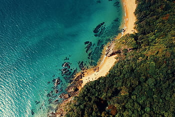 Stunning aerial view of a turquoise sea meeting a golden sandy beach surrounded by lush tropical forest. HD wallpaper