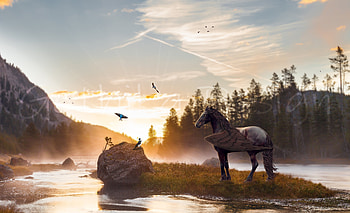 Horse Magical Mysterious , horse, artist, artwork, digital-art, dreamy, deviantart HD wallpaper