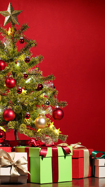 Gifts, Christmas Trees HD phone wallpaper
