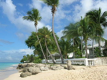 Landscape, Beach, Palms HD wallpaper