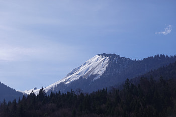 Landscape, Nature, Snow, Mountain, Forest HD wallpaper