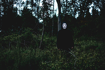 Miscellanea, Miscellaneous, Forest, Mask, Human, Person, Anonymous HD wallpaper